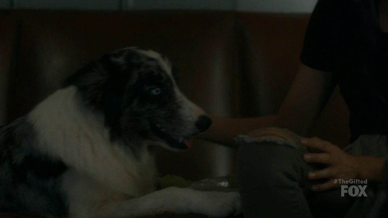 1x06 got your siX