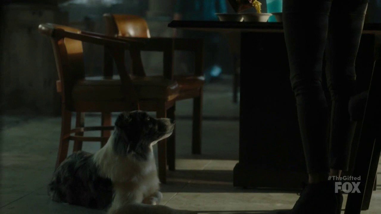 1x07 quick fiX