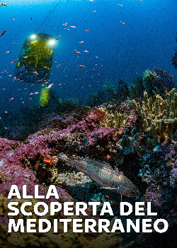 Alla scoperta del Mediterraneo (2020)