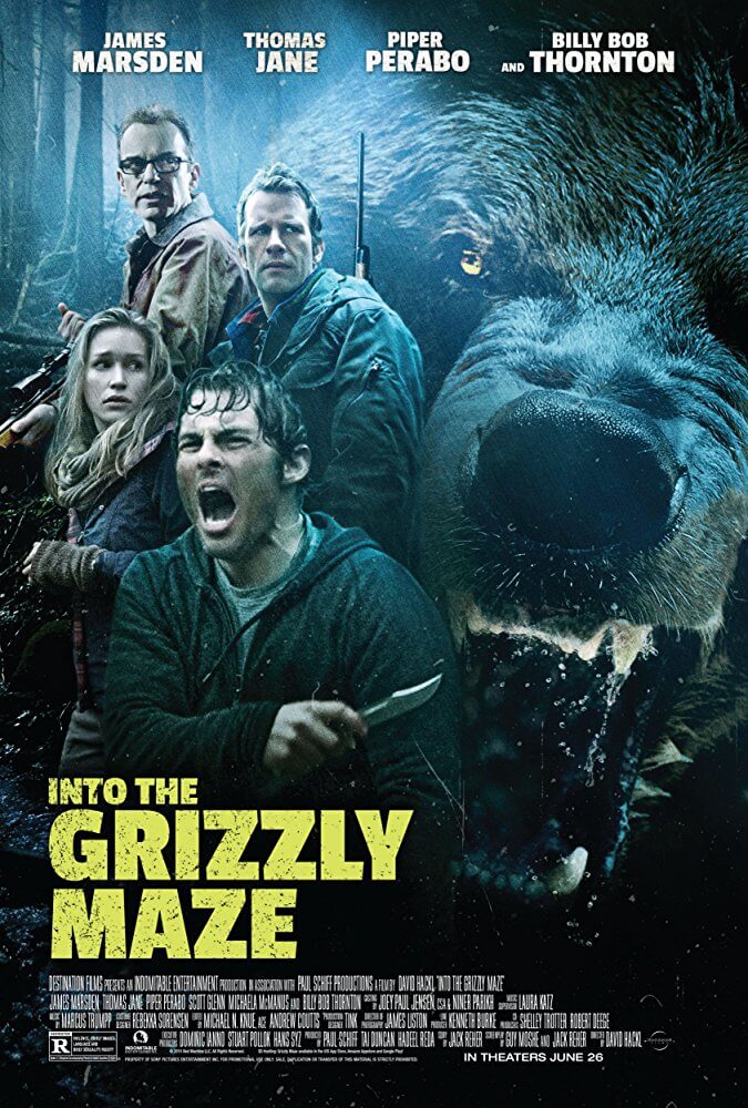 Labirinto Dei Grizzly in Streaming