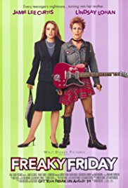Quel pazzo venerdì (2003)