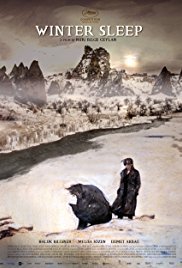 Il regno d'inverno: Winter Sleep (2014)
